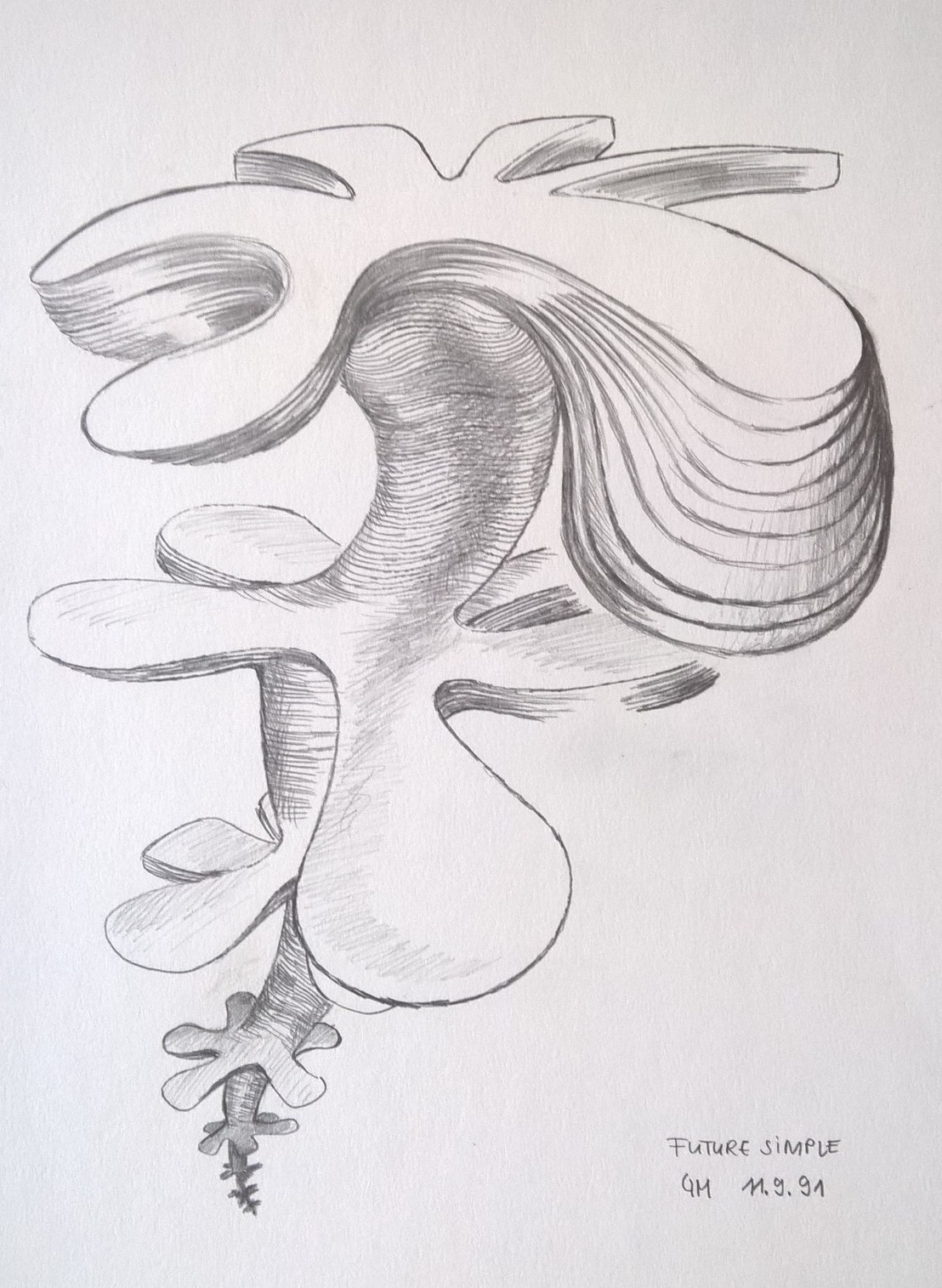 wp_20170121_15_48_09_pro-2