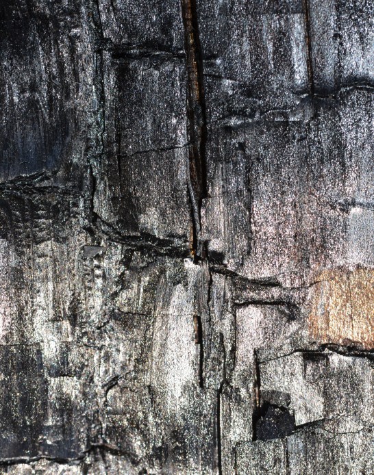 DSC_0035 (3) - Kopie - Kopie