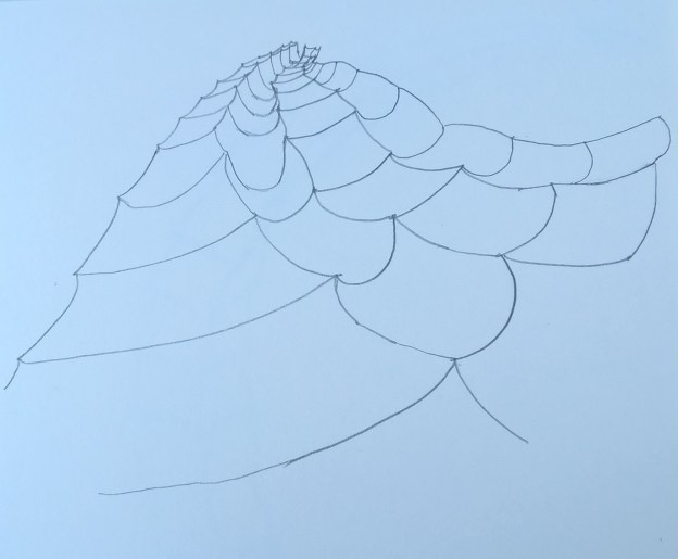 WP_20170610_19_40_28_Pro (3)