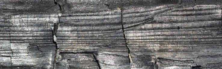 verkohlt7-e1523287001800[1]