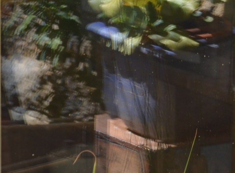 Multiple_Entzückung