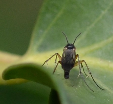 looking into a bright future