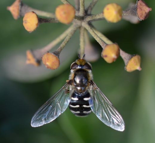 DSC_0261-Mit-Fotograf - Kopie