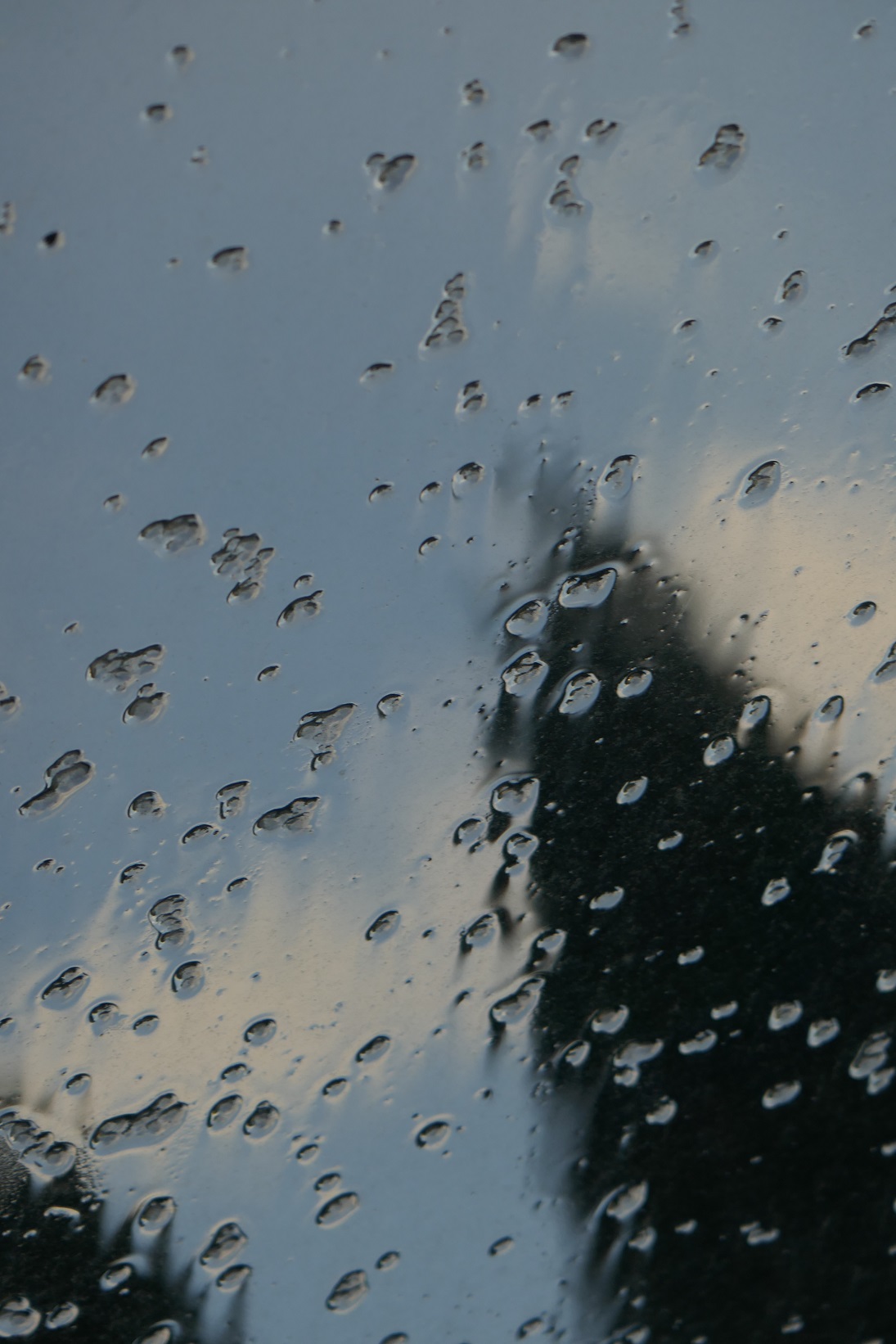 wWaterstream5